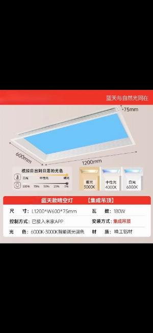 晴空燈 sky ceiling light 